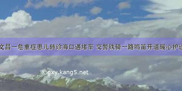 文昌一危重症患儿转诊海口遇堵车 交警铁骑一路鸣笛开道暖心护送