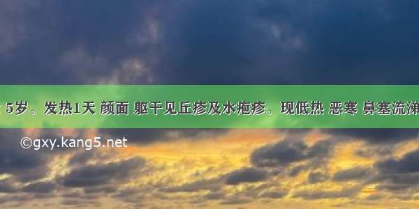 患儿 女 5岁。发热1天 颜面 躯干见丘疹及水疱疹。现低热 恶寒 鼻塞流涕 疹色红