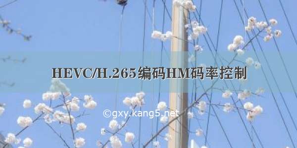 HEVC/H.265编码HM码率控制