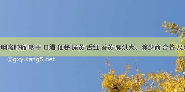 患者咽喉肿痛 咽干 口渴 便秘 尿黄 舌红 苔黄 脉洪大。除少商 合谷 尺泽 关