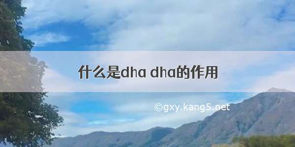 什么是dha dha的作用