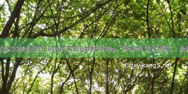 白术汤： 生白术120g薏苡仁90g芡实30g炒杜仲30g。丹参40.克水煎服。 治疗非器质性腰