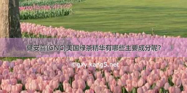 健安喜(GNC)美国绿茶精华有哪些主要成分呢？