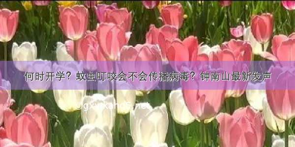 何时开学？蚊虫叮咬会不会传播病毒？钟南山最新发声