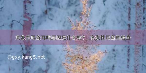 突发性耳聋耳鸣原因是什么呢？_突发性耳聋的检查