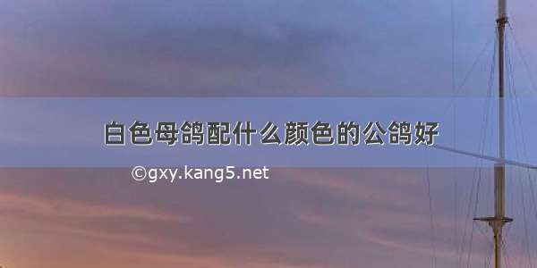 白色母鸽配什么颜色的公鸽好