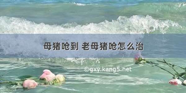 母猪呛到 老母猪呛怎么治