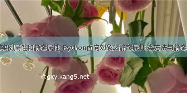 python的实例属性和静态属性_Python面向对象之静态属性 类方法与静态方法分析...