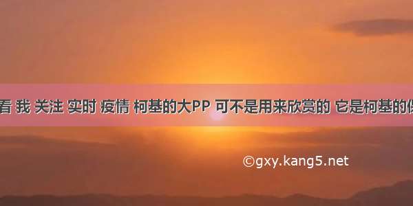 刷新 翻看 我 关注 实时 疫情 柯基的大PP 可不是用来欣赏的 它是柯基的保命神器