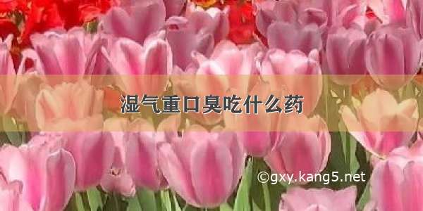 湿气重口臭吃什么药