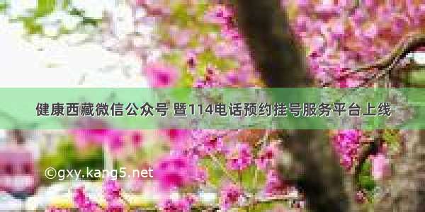 健康西藏微信公众号 暨114电话预约挂号服务平台上线