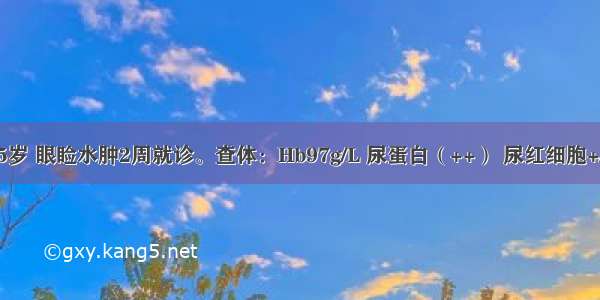 患儿 男 5岁 眼睑水肿2周就诊。查体：Hb97g/L 尿蛋白（++） 尿红细胞+/HP 尿比