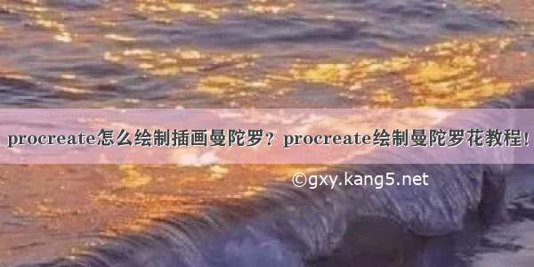 procreate怎么绘制插画曼陀罗？procreate绘制曼陀罗花教程！