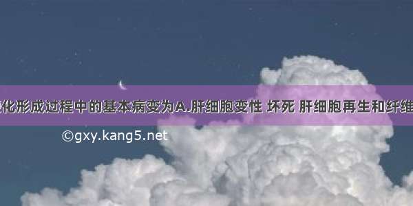 门脉性肝硬化形成过程中的基本病变为A.肝细胞变性 坏死 肝细胞再生和纤维组织增生B.