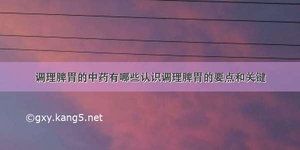 调理脾胃的中药有哪些认识调理脾胃的要点和关键