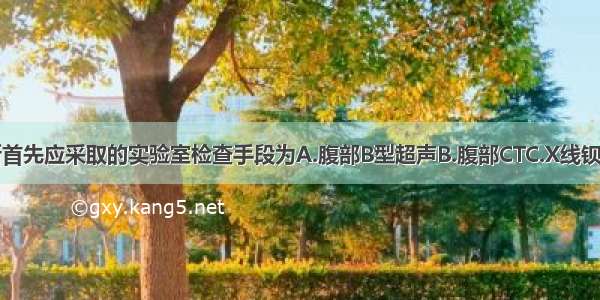 为进一步明确诊断首先应采取的实验室检查手段为A.腹部B型超声B.腹部CTC.X线钡餐D.胃镜E.MRCP