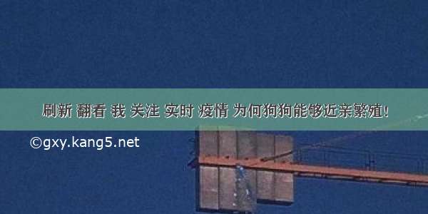 刷新 翻看 我 关注 实时 疫情 为何狗狗能够近亲繁殖！