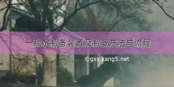 一种水制备装置及制备方法与流程