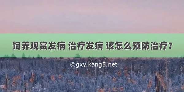 饲养观赏发病 治疗发病 该怎么预防治疗？