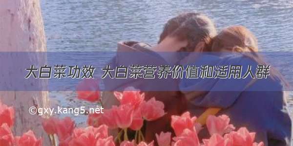 大白菜功效 大白菜营养价值和适用人群