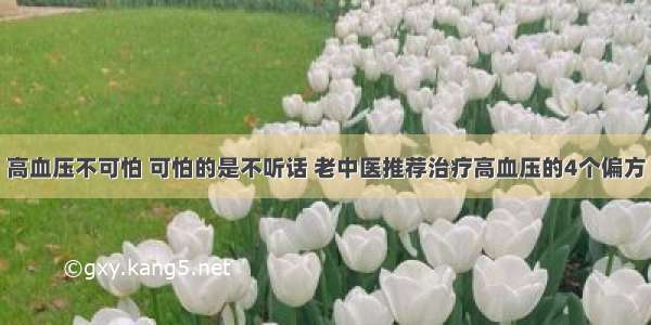 高血压不可怕 可怕的是不听话 老中医推荐治疗高血压的4个偏方