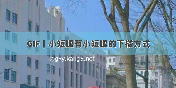 GIF丨小短腿有小短腿的下楼方式