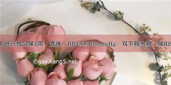 男 22岁。水肿 进行性少尿1周。查体：BP155/100mmHg。双下肢水肿。尿RBC20～40/HP 