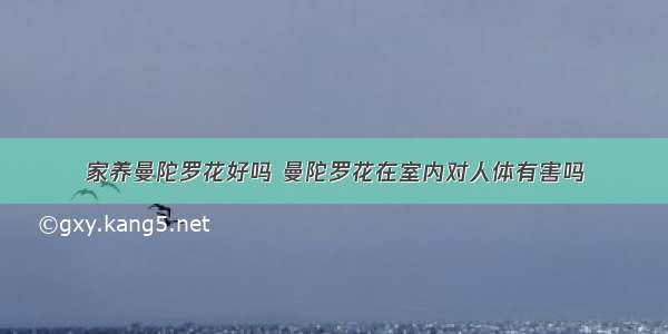 家养曼陀罗花好吗 曼陀罗花在室内对人体有害吗