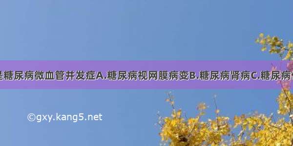 下述哪项不是糖尿病微血管并发症A.糖尿病视网膜病变B.糖尿病肾病C.糖尿病伴多发性神经