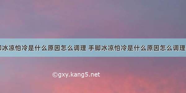 手脚冰凉怕冷是什么原因怎么调理 手脚冰凉怕冷是什么原因怎么调理小孩