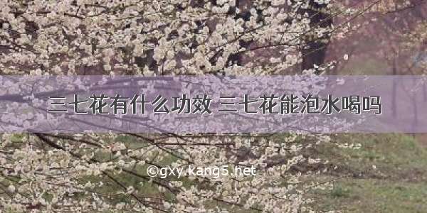 三七花有什么功效 三七花能泡水喝吗