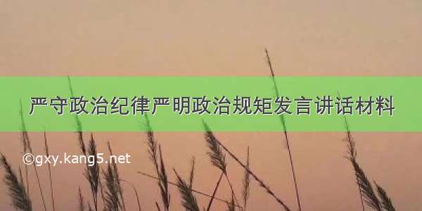 严守政治纪律严明政治规矩发言讲话材料