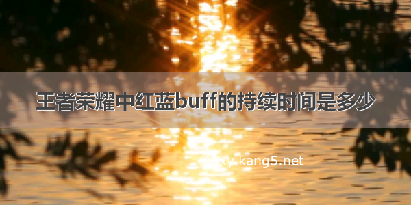 王者荣耀中红蓝buff的持续时间是多少