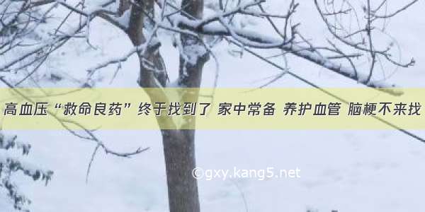 高血压“救命良药”终于找到了 家中常备 养护血管 脑梗不来找