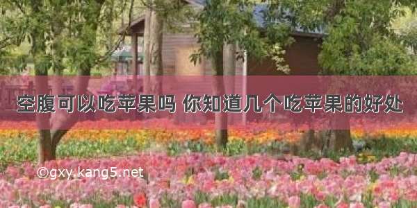 空腹可以吃苹果吗 你知道几个吃苹果的好处