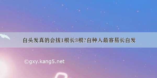 白头发真的会拔1根长3根?白种人最容易长白发