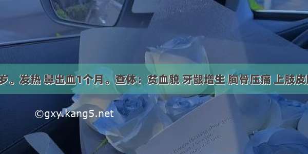 男性 16岁。发热 鼻出血1个月。查体：贫血貌 牙龈增生 胸骨压痛 上肢皮肤可触及