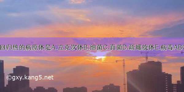 引起回归热的病原体是A.立克次体B.细菌C.真菌D.疏螺旋体E.病毒ABCDE