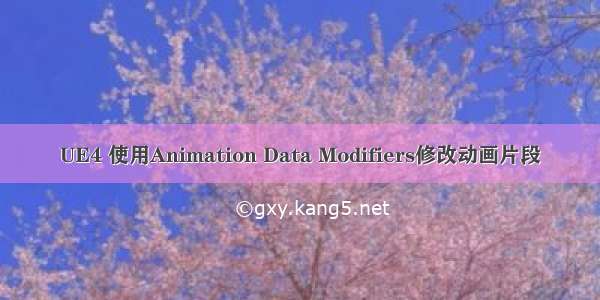 UE4 使用Animation Data Modifiers修改动画片段