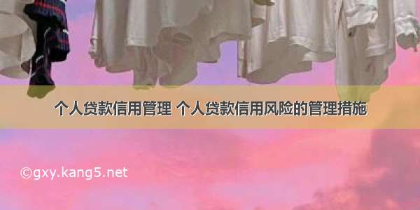 个人贷款信用管理 个人贷款信用风险的管理措施