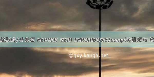 肝静脉血栓形成/并发症 HEPATIC VEIN THROMBOSIS/compl英语短句 例句大全