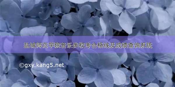 盐城师范学院音乐类校考合格线及成绩查询系统