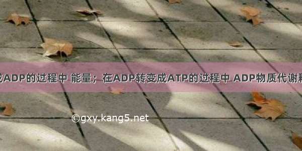 在ATP转变成ADP的过程中 能量；在ADP转变成ATP的过程中 ADP物质代谢释放的能量 贮