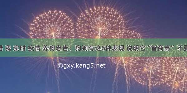 刷新 翻看 我 实时 疫情 养狗忠告：狗狗有这6种表现 说明它“智商高” 不要小瞧了！