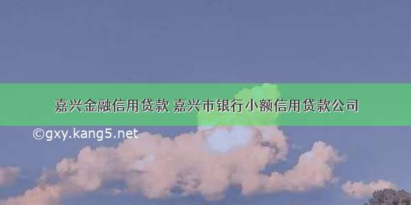 嘉兴金融信用贷款 嘉兴市银行小额信用贷款公司