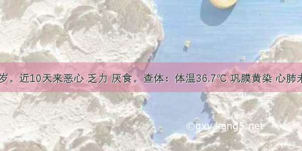 女性 45岁。近10天来恶心 乏力 厌食。查体：体温36.7℃ 巩膜黄染 心肺未见异常 