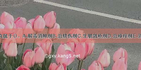 当归苦参丸属于()。A.解毒消肿剂B.治烧伤剂C.生肌敛疮剂D.治疹痒剂E.消热消痤剂