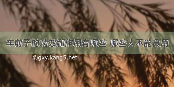 车前子的功效和作用有哪些 哪些人不能食用