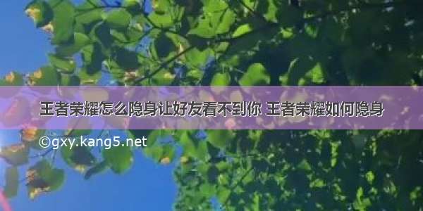 王者荣耀怎么隐身让好友看不到你 王者荣耀如何隐身