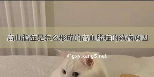 高血脂症是怎么形成的高血脂症的致病原因